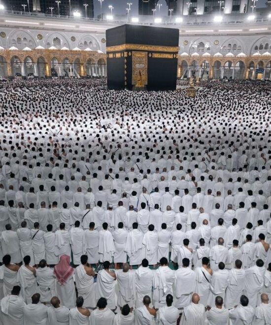 OMRA NOVEMBRE 📅 11/11/2025